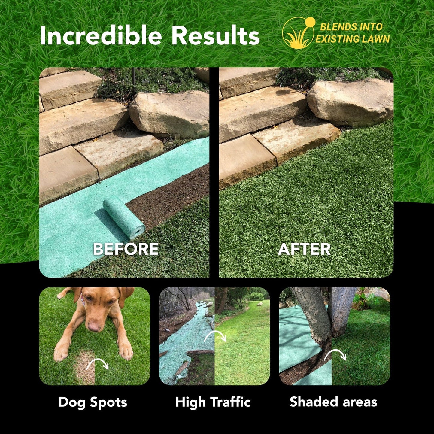 H2O GrowTrax™ Turf Builder
