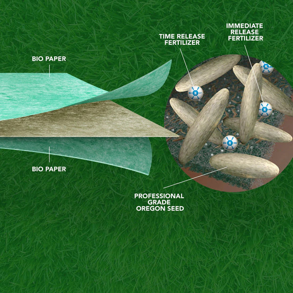 Bio Fabric Prevents Seeds from Washing Away